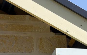 soffit repair Thundridge